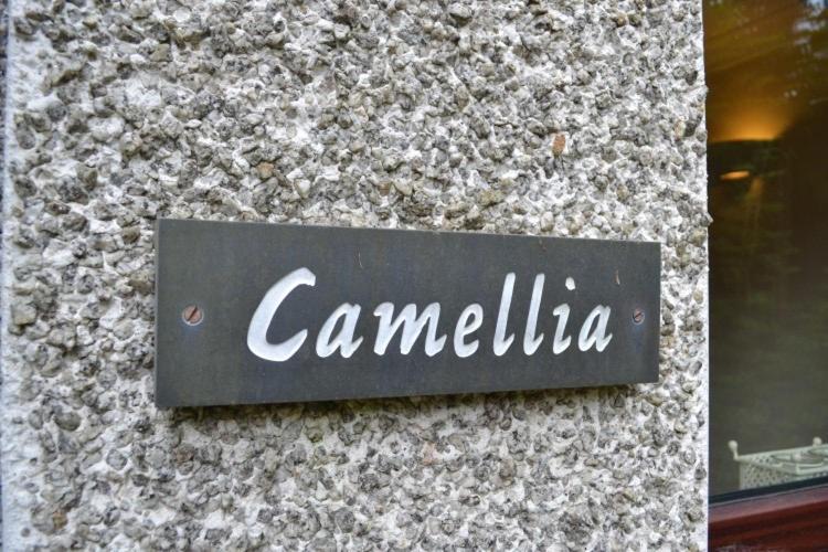 Camellia