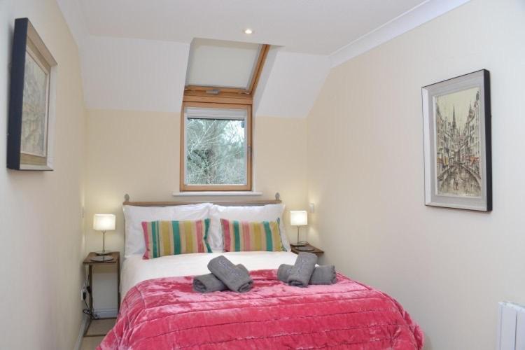 Camellia Holiday home